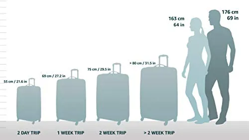 French Bull 20" Hard Case Carry On Spinner Luggage - Women, Girls, Designer, Lightweight, TSA Lock - Ziggy