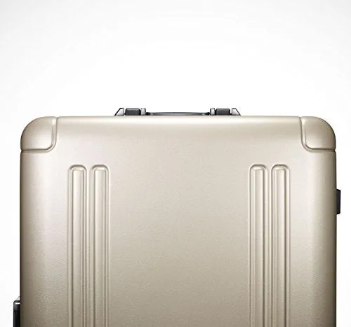 Zero Halliburton Zro 20" International Carry-On 4-Wheel Spinner Luggage (20, Silver)